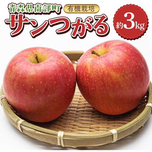 有機栽培 りんご サンつがる 約3kg [和楽堂りんご養生農苑] 青森りんご F21U-733