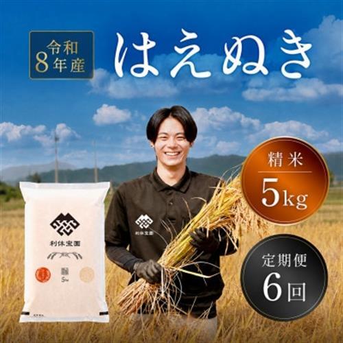 【発送月固定定期便】はえぬき (精米) 5kg 山形県産全6回【4091164】