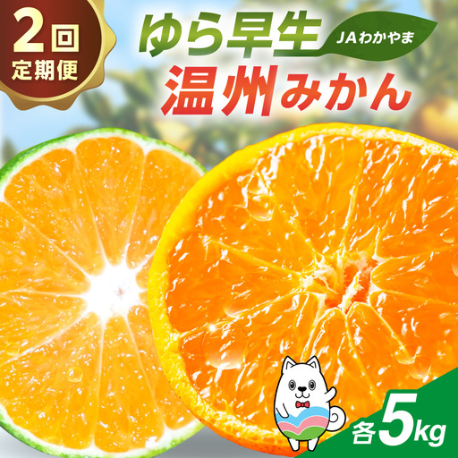 [2回定期便]JAわかやま 紀州のゆら早生･温州みかん[8077]