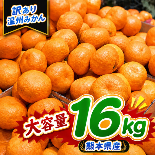 【訳あり】熊本県産 温州みかん 約16kg 味采市場