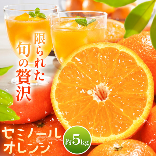 オレンジ セミノールオレンジ 約5kg 株式会社魚鶴商店