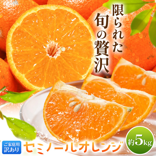 オレンジ 訳あり ご家庭用 セミノールオレンジ 約5kg 株式会社魚鶴商店