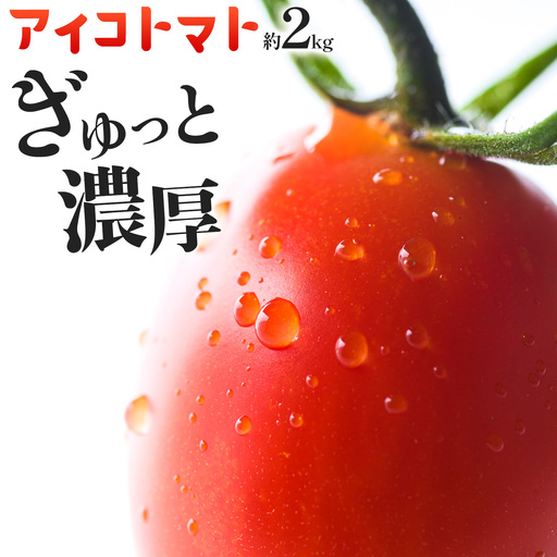 トマト アイコトマト ミニトマト 2kg GOGO農園