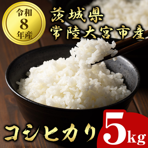 米 コシヒカリ 5kg 令和8年産 [新米][ho1750]