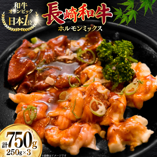 牛肉 和牛 長崎和牛ホルモンミックス 750g (250g×3)