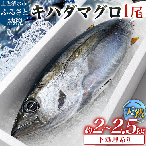 キハダマグロ 1尾 約2～2.5kg 約40～60cm 約8～12人前 下処理あり【R01758】