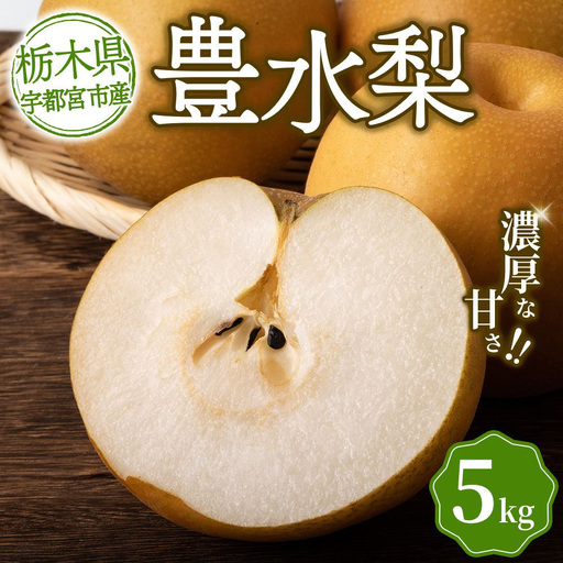 宇都宮産 梨「豊水」5kg箱(濃厚な甘みとコク) | なし 和梨 旬 果物 くだもの フルーツ 新鮮 ※2026年8月〜発送