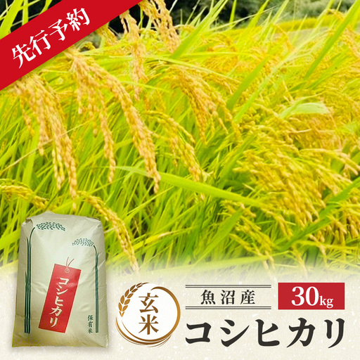 [令和8年産 新米先行受付]魚沼産コシヒカリ 特別栽培米 (玄米) 30kg 米 コメ こしひかり ブランド米 お取り寄せ 魚沼市