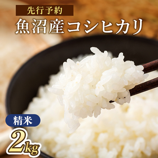 [令和8年産 新米先行受付]魚沼産コシヒカリ 特別栽培米 (精米)2kg 米 こしひかり 魚沼市