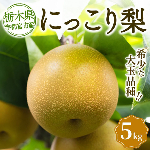 宇都宮産 梨「にっこり」5kg箱(大玉・希少品種) | なし 和梨 旬 果物 くだもの フルーツ 新鮮 ※2026年9月〜発送
