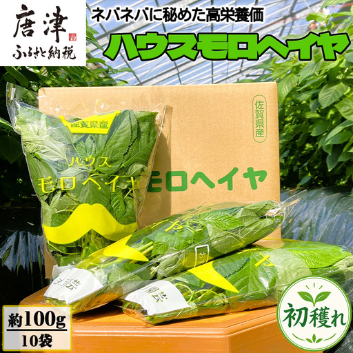 初穫れハウスモロヘイヤ 100g×10袋 ネバネバ 高栄養価(βカロテン/各種ビタミン/カルシウム/カリウム/葉酸など) 定番おひたし 和洋中の各種スープ 色んなお料理のソースにも 野菜 ねばねば