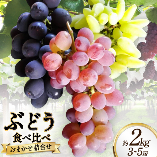 生産者厳選 ぶどう食べ比べ おまかせ詰め合わせセット約2kg