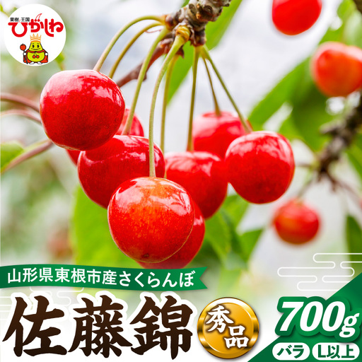 2027年産 さくらんぼ 佐藤錦 700g バラ 秀品 さくらんぼ