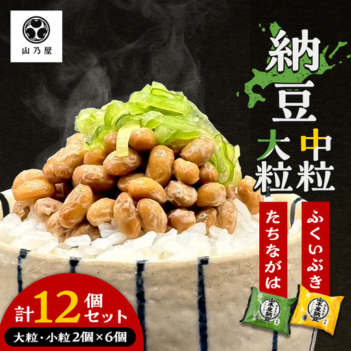 山乃屋の山木屋 大粒 中粒 納豆 各種6個 納豆 大豆 健康 発酵食品 ギフト おすすめ 川俣町 福島県   FAF-0292