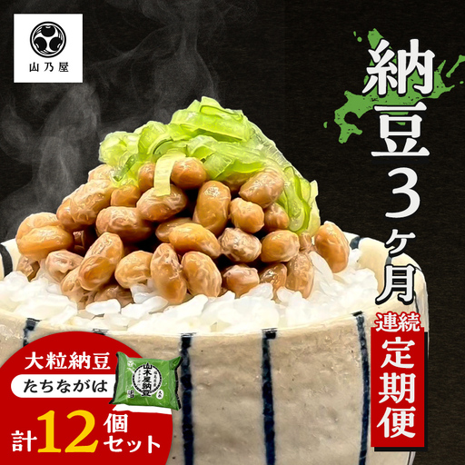 [3か月定期便]山乃屋の山木屋 大粒 納豆 たちながは 12個 納豆 大豆 健康 発酵食品 ギフト おすすめ 川俣町 福島県