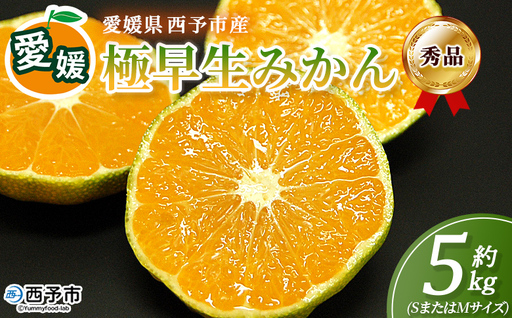 [愛媛産 秀品 極早生みかん(SまたはMサイズ)約5kg]『2026年9月下旬から順次出荷予定』蜜柑 ミカン みかん 温州みかん 贈答用 ギフト 清見 西宇和 果物 フルーツ 柑橘 国産 愛媛県産 西予市 特産品 丸二青果 愛媛県 西予市[常温]MMY0028