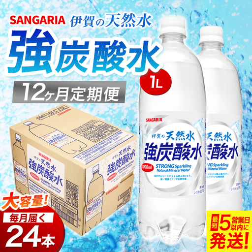 【12ヶ月定期便】サンガリア　伊賀の天然水　強炭酸水　1ケース（500mL×24本）【igge-tkb0004】