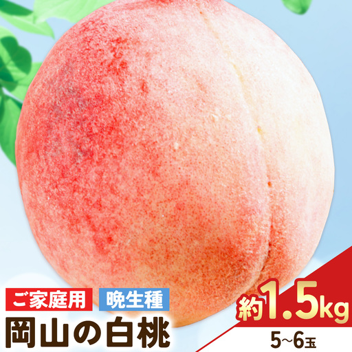 【2027年発送先行予約】ご家庭用 岡山の白桃(晩生種) 約1.5kg 5～6玉【配送不可地域：離島】