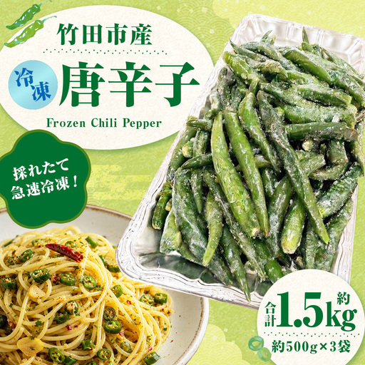 採れたて急速冷凍! 竹田市産 冷凍唐辛子 約500g × 3袋 ( 計約1.5kg ) [ 2026年8月下旬から順次発送予定 ]