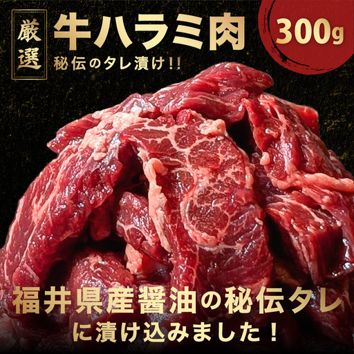 厳選 秘伝のタレ漬け ハラミ 300g [058-a032]