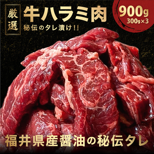 厳選 秘伝のタレ漬け ハラミ 900g（300g×3）[058-a023_A]