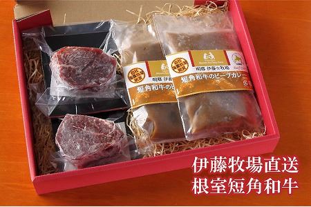 【北海道根室産】短角和牛ヒレステーキ150g×4P、ビーフカレー4Pセット D-13001