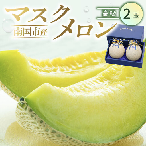 【西島園芸団地】マスクメロン（高級） 2玉入 青肉品種 高級メロン！ ／ マスクメロン 果物 フルーツ ギフト 農家直送 NE034