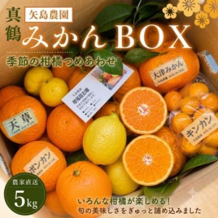 お正月特別便♪季節の柑橘詰合せ5kgいろんな種類が詰まった1箱【12月下旬発送】【先行受付】【1762628】