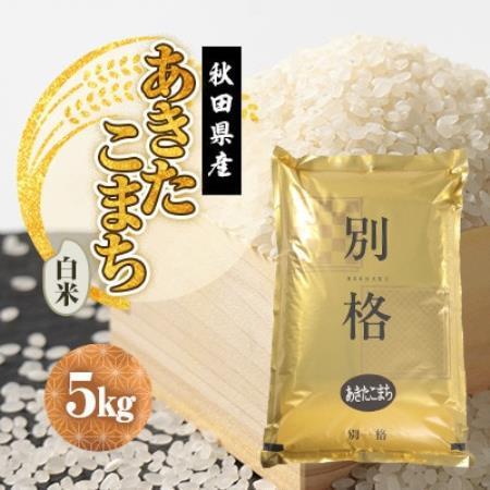 【発送月固定定期便】あきたこまち 白米 5kg 10月～12月発送全3回【配送不可地域：離島・沖縄県】【4090557】
