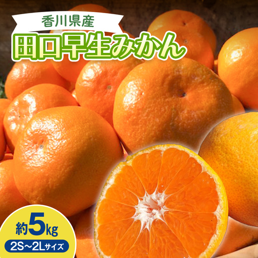 2026年秋よりお届け 田口早生みかん 約5kg 果物類 柑橘類 フルーツ   柑橘 みかん ミカン 蜜柑 デザート 果物 くだもの 果実 食品 FAH-0179