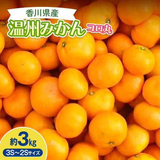 2026年秋よりお届け 瀬戸内　小みかん！コロ丸　約3kg 果物類 柑橘類 フルーツ  柑橘 みかん ミカン 蜜柑 デザート 果物 くだもの 果実 食品 FAH-0184
