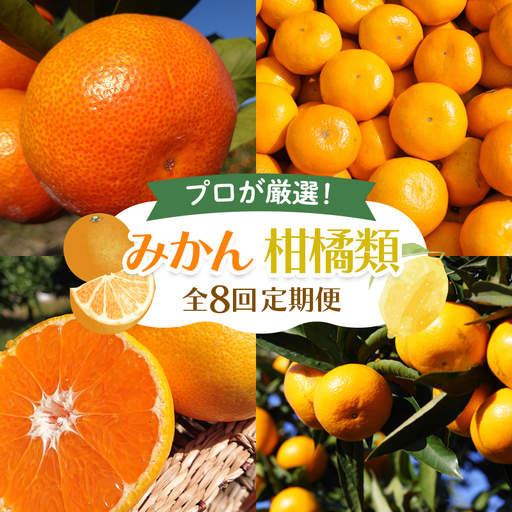 【8回 頒布会】みかん 柑橘類 定期便 彩り柑橘 8回《10月温州みかん（極早生）からスタート》フルーツ フジカワ果樹園セレクト 果物 果物類 フルーツ  柑橘 みかん ミカン 蜜柑 デザート くだもの 果実 食品 FAH-0190