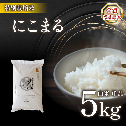 【 新米 】 令和8年米 にこまる 5kg ビニール包装