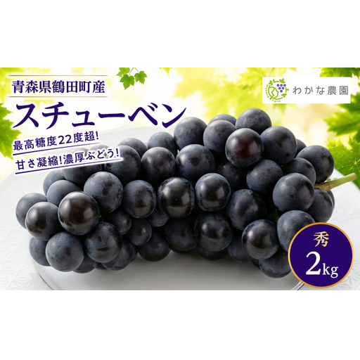 [園主厳選・秀]奇跡のぶどう スチューベン 2kg 最高糖度22度超! わかな農園