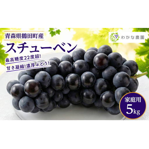 [園主厳選・ご家庭用]奇跡のぶどう スチューベン 5kg 最高糖度22度超! わかな農園