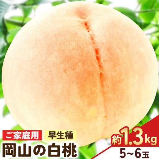 [2027年発送先行予約]ご家庭用 岡山の白桃(早生種) 約1.3kg 5〜6玉[配送不可地域:離島]
