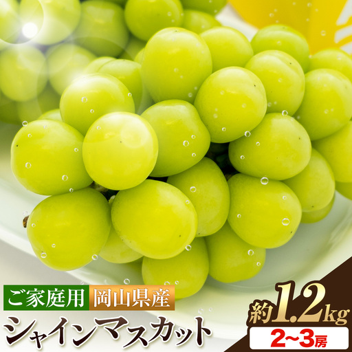 岡山県産 ご家庭用 シャインマスカット 2〜3房 約1.2kg[配送不可地域:離島]