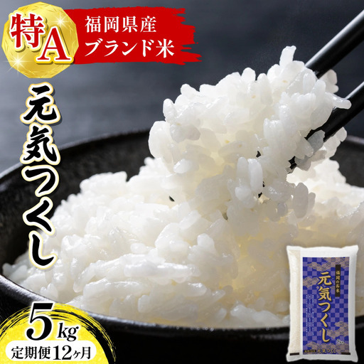 【定期便：12ケ月】令和８年産 福岡県産米 元気つくし 5kg 精米 CY022sub12