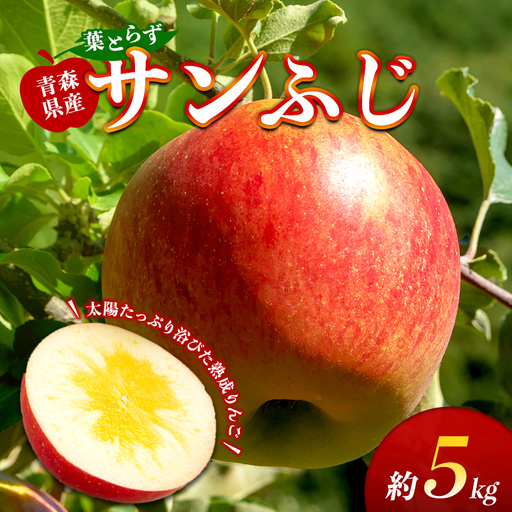 葉取らずサンふじ 約5kg 【ふじさき季の会】 F41-0121