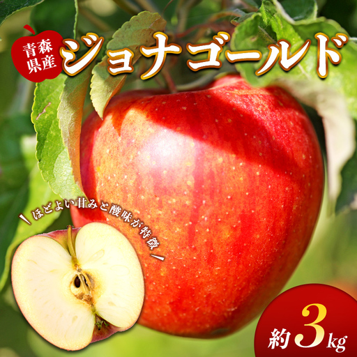 藤崎町産 りんご ジョナゴールド 約3kg [ふじさき季の会]