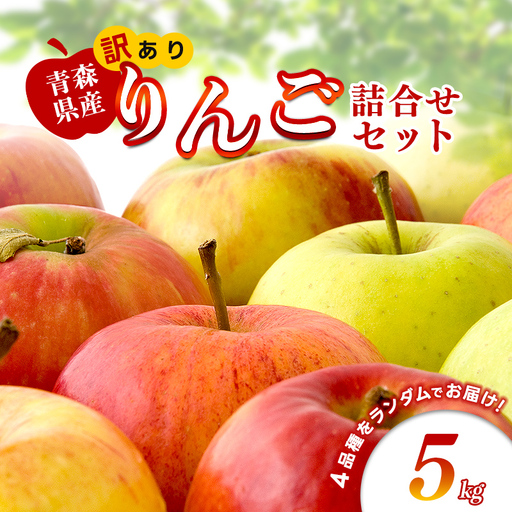 [特に訳あり] 藤崎町産 りんご 約5kg [ふじさき季の会] 青森りんご リンゴ 林檎 アップル ふじ発祥の地 おすすめ 東北 青森県 藤崎町