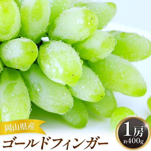 [2027年発送先行予約]岡山県産 ゴールドフィンガー 1房 約400g[配送不可地域:離島]