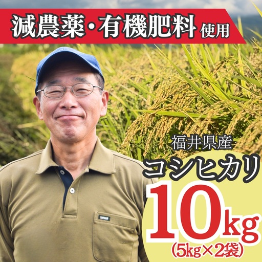 米 2026年産新米 コシヒカリ 勝山産 10kg(精米)[先行予約]
