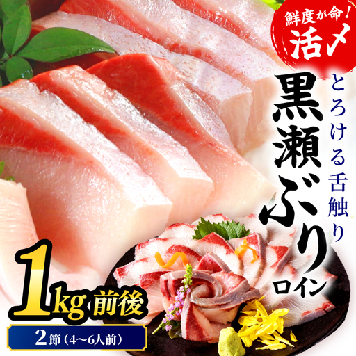 ＜翌月末までに発送予定＞活じめ！黒瀬ぶりの生鮮ブリロイン2節（1.0kg前後）_K001-012