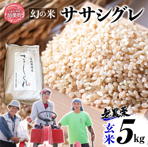 [新米予約][ 希少品種米 ] 米 令和8年 宮城県産 ササシグレ ( 栽培期間中農薬・肥料不使用 ) 玄米 5kg | 宮城県 加美町 無農薬 | nt-ss05-gn-r8