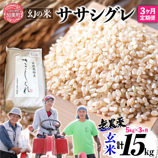 [新米予約][ 希少品種米 ] 米 令和8年 宮城県産 ササシグレ ( 栽培期間中農薬・肥料不使用 ) [ 3回 定期便 ] 玄米 5kg × 3ヶ月 ( 合計 15kg ) 無農薬 | nt-ss05-gn-t3-r8