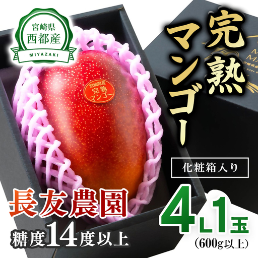 [先行予約]2027年発送[長友農園] 糖度14度以上大玉4Lサイズ(600g以上)完熟マンゴー 宮崎県西都産 生産者直送[46-3a]