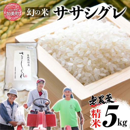 [新米予約][ 希少品種米 ] 米 令和8年 宮城県産 ササシグレ ( 栽培期間中農薬・肥料不使用 ) 精米 白米 5kg 無農薬 |nt-ss05-r8
