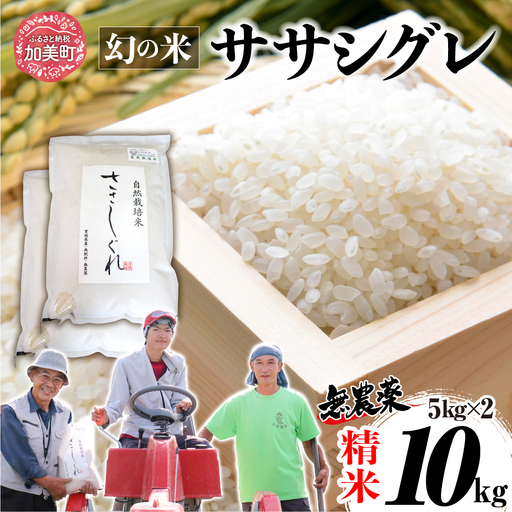 [新米予約][ 希少品種米 ] 米 令和8年 宮城県産 ササシグレ ( 栽培期間中農薬・肥料不使用 ) 精米 白米 10kg 無農薬|nt-ss10-r8