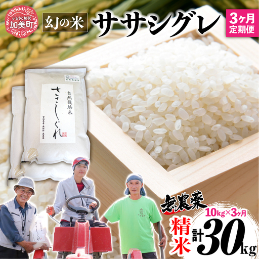 【新米予約】《 希少品種米 》 米 令和8年 宮城県産 ササシグレ ( 栽培期間中農薬・肥料不使用 ) 【 3回 定期便 】 精米 白米 10kg × 3ヶ月 （ 合計 30kg ）無農薬 ｜nt-ss10-t3-r8